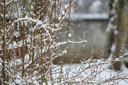 Understanding Calgary’s Freeze-Melt Cycle: Challenges and Solutions